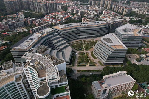 搭建平臺(tái) 編制目錄 廈門持續(xù)優(yōu)化政策促進(jìn)軟件產(chǎn)業(yè)高質(zhì)量發(fā)展