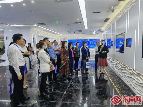 對(duì)接創(chuàng)新項(xiàng)目 點(diǎn)贊廈門發(fā)展 金磚國(guó)家華僑華人有 話 說