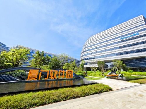 廈門思明 打造人工智能生態圈 為新質生產力蓄勢賦能